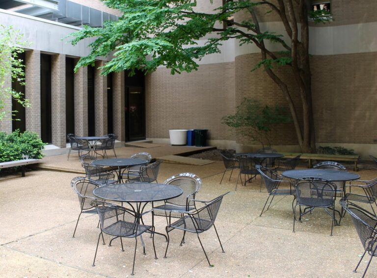 Shaffer courtyard, McDonnell Sciences